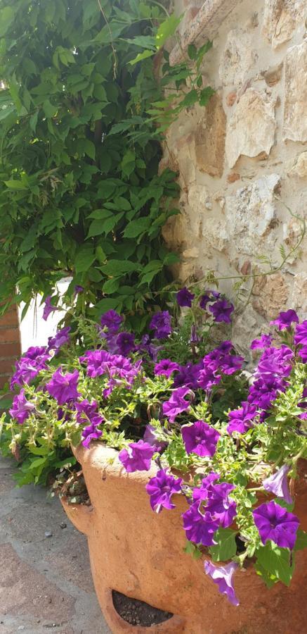 Borgo Al Cielo - Albergo Diffuso Суверето Екстер'єр фото